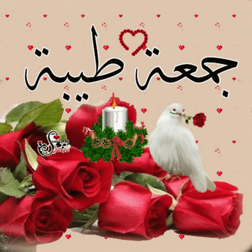 a picture with roses in the background and a dove and candles in the middle
