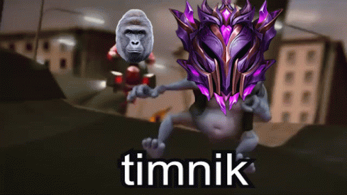 a monkey holding onto an item with the word timnik above it