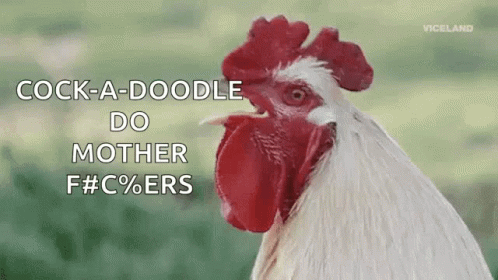 a po of a chicken with the words cock - a - doodle do mother f'o'beers
