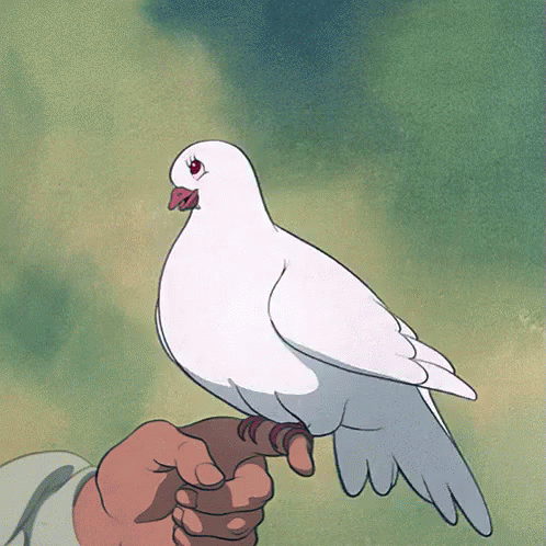 a white bird on someones arm with green background