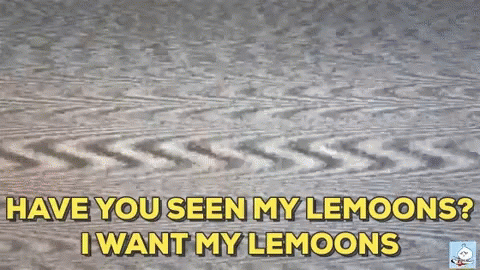a bird is standing on some wood and texting have you seen my lemons? i want my lemons