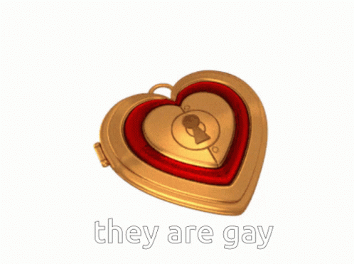 a heart shaped lock with the word they are gay printed in it