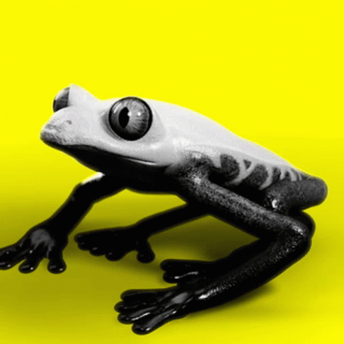 a frog with the eyes open sitting on a blue surface
