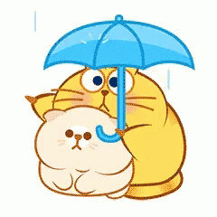 blue cat holding an orange umbrella with white cat