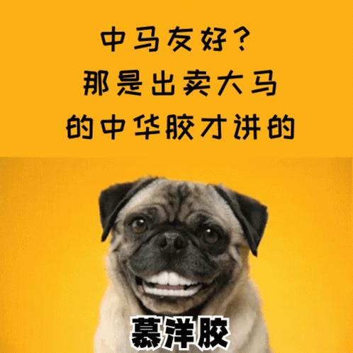 a poster with a dog with two chinese characters