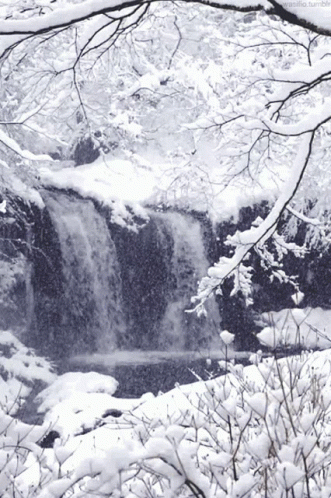 a waterfall surrounded by snow and trees