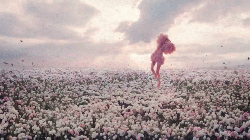 a person standing in a large field of flowers