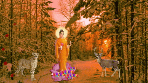 a woman is in the snow with deer, and other animals
