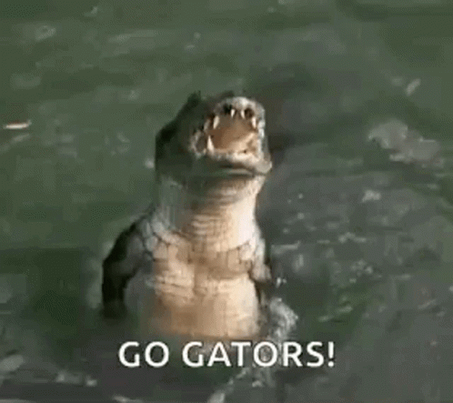 a blue crocodile is seen with the caption'go gators