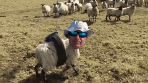a man is dressed up like an old woman with sheep behind him