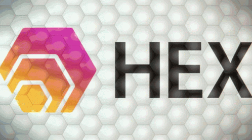 hex logo is displayed on the wall