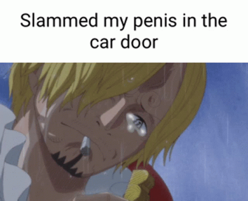 someone has claimed he is the car door from the anime that made it to another place