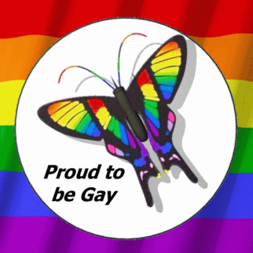 a colorful erfly on a white circle with the words proud to be gay