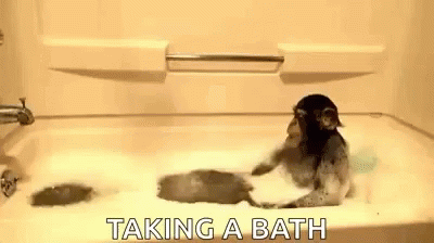 a dog is playing in the tub with water
