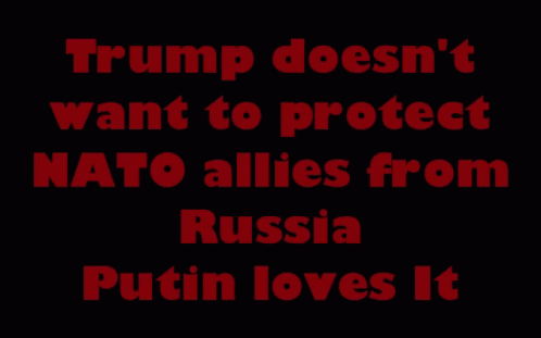the president is saying trump doesn't want to protect nato alies from russia putn loves it