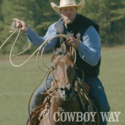 a cowboy on horseback holding onto wires
