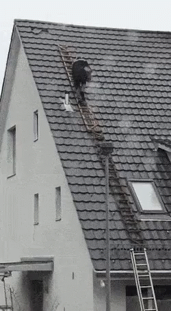 a man on a ladder repairing a roof