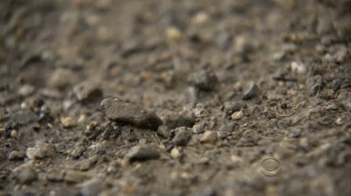 small pieces of gray rock are on a dirt surface