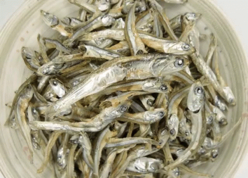 a bowl full of small silver colored fish
