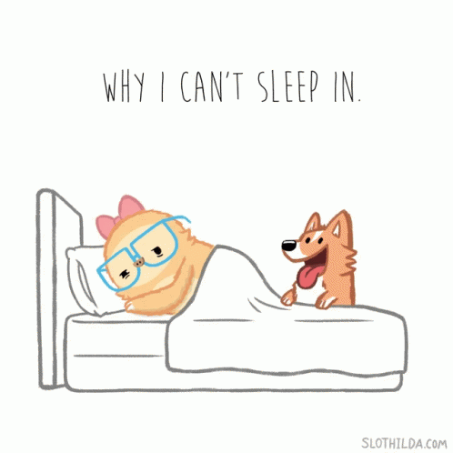 a drawing of two blue dogs and the caption says why i can't sleep in