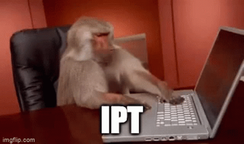 monkey using lap top to speak at someone