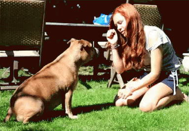 a woman with blue hair and dark skin petting a gray dog on a field of grass