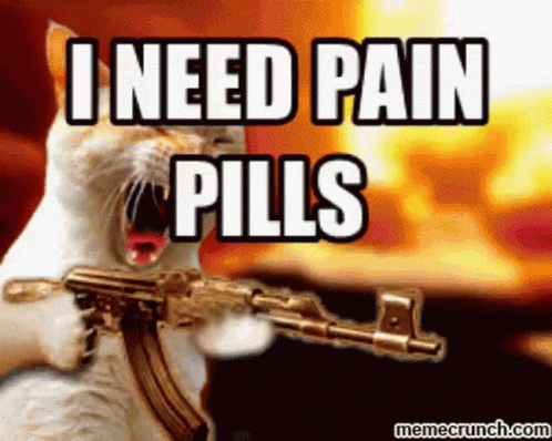 cat holding a weapon that says, i need pain pills