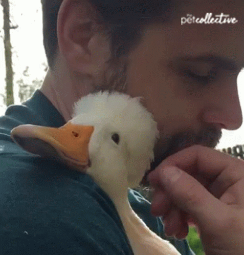 a man holding a bird to his neck