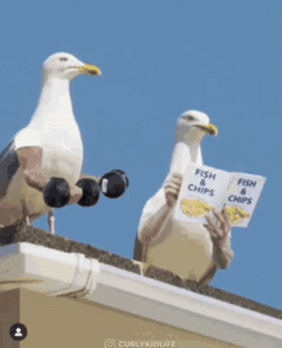 two pigeons perched on the edge of a roof next to each other