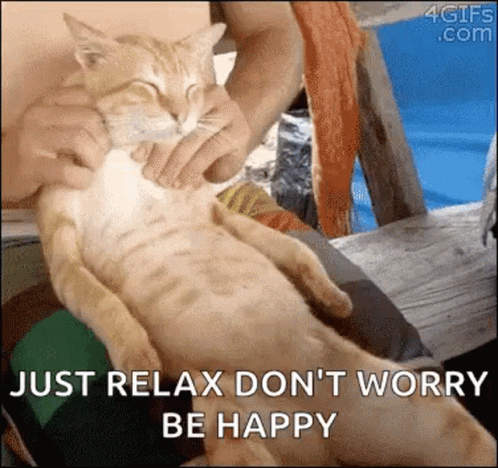 a person holding a cat, text says just relax don't worry be happy