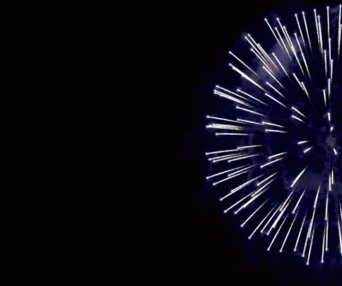 a black and white fireworks is in the air