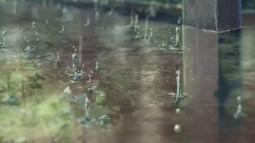 some water with leaves coming from them and rain on it