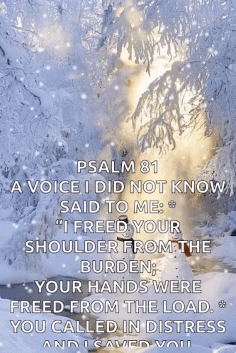 a snowy forest with a bible verse on it