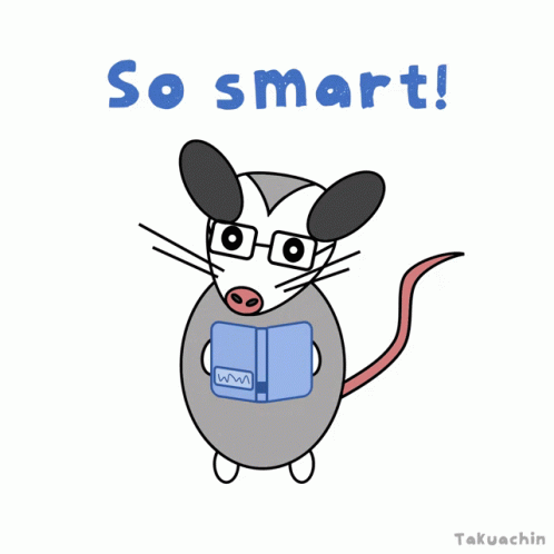 a small rat reading a book saying so smart