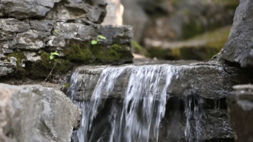 waterfall running through a rock wall, surrounded by a green leafy forest