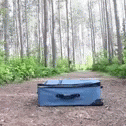 a yellow box sits on the pavement in a forest