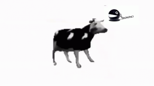the cow is flying in the sky with the ball