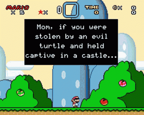 the screens of mario's castle from the game