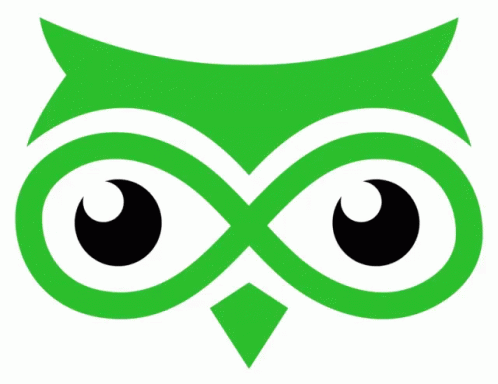 an owl with green eyes is on a white background