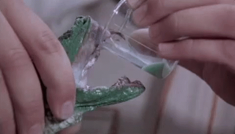 a person holding a piece of glass that has frog legs sticking out