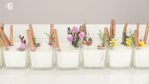 a row of plastic vases filled with small flowers