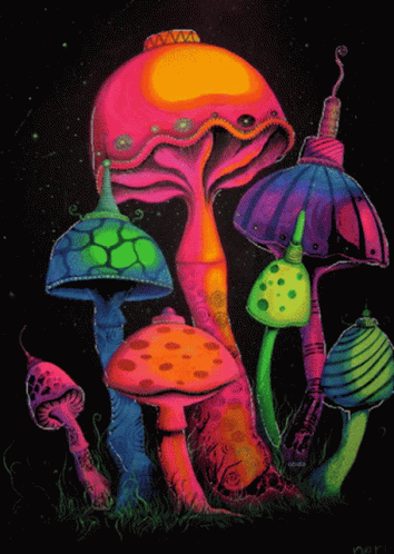 the mushrooms are painted on the black paper