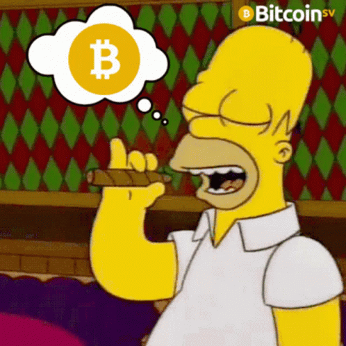 simpsons thinks bitcoin is not the answer