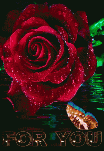 a purple rose sits in water next to a erfly