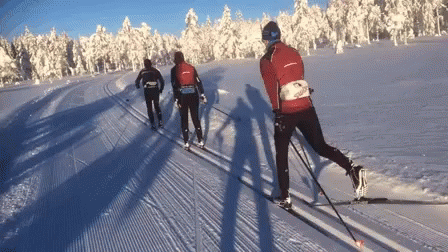 the cross country skiers are traveling down the snow covered hill