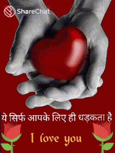 two hands are touching an apple with the caption of i love you