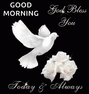 a picture of two white doves with the words good morning written in the middle