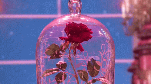 the inside of a glass case with a flower in it