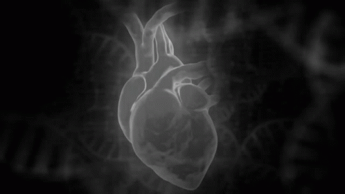 black and white image of a heart in fog