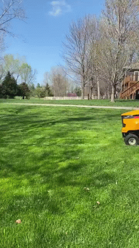 a blue lawn mower in a green yard